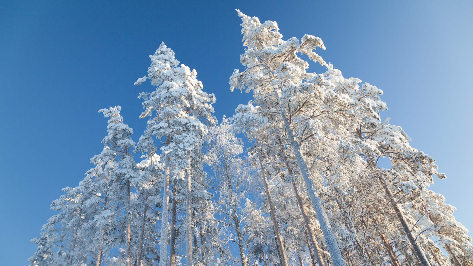 Finland