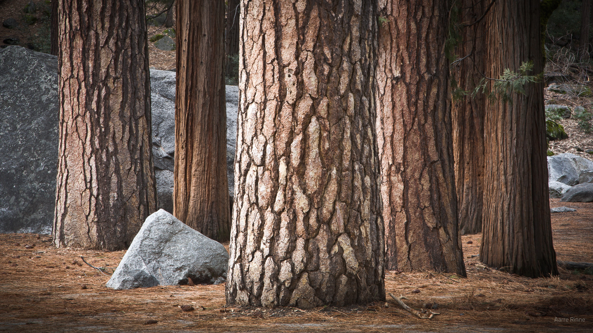 Yosemite, California